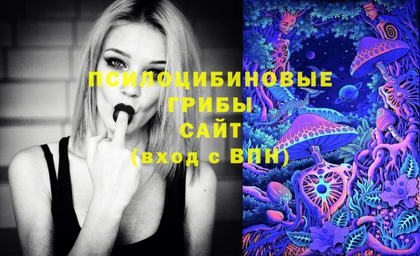 ECSTASY Армянск