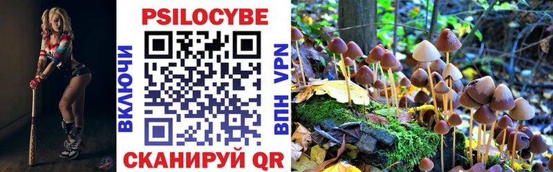Псилоцибиновые грибы прущие грибы  сколько стоит  Нестеров 